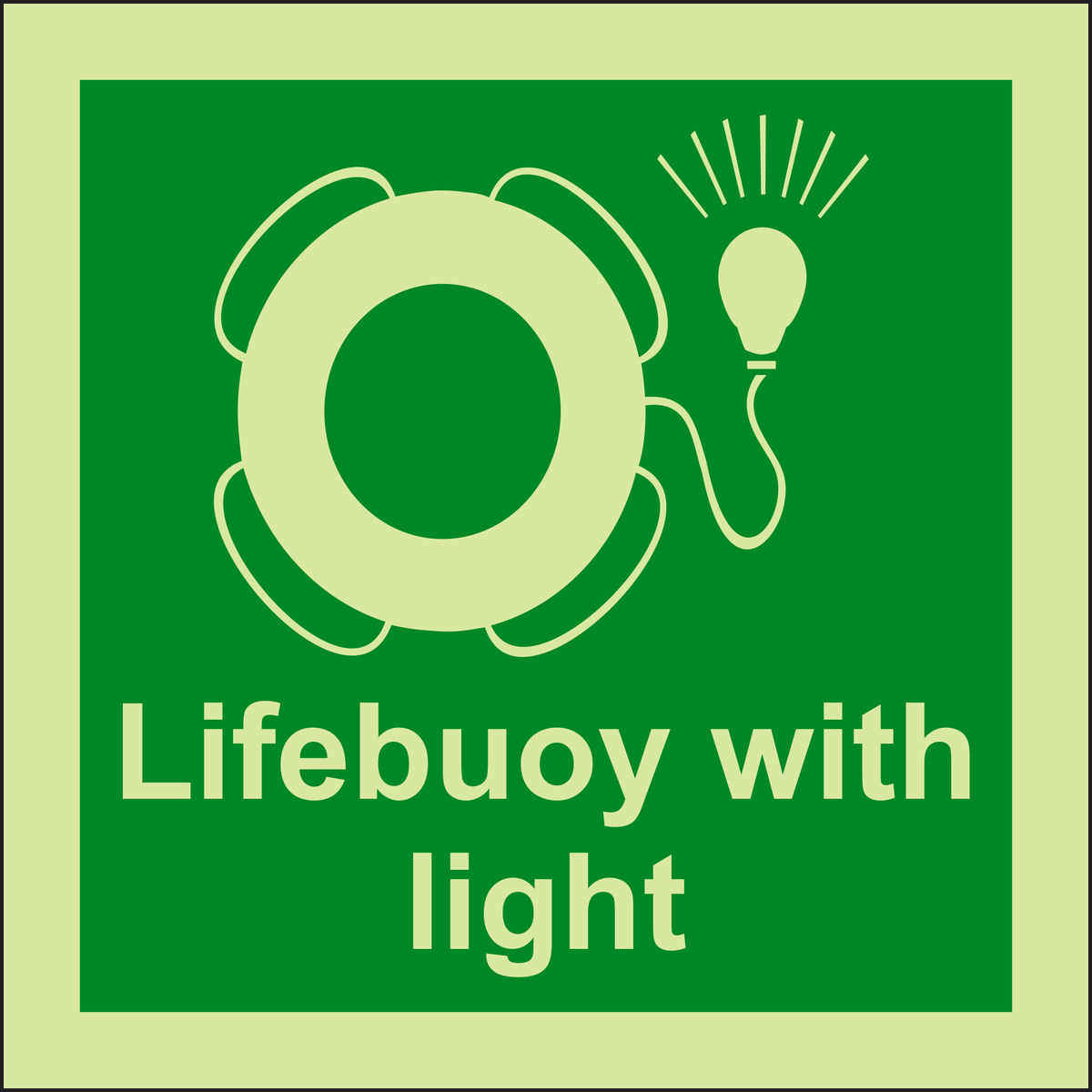 IMPA 33.4108 Lifebuoy With Light Sign