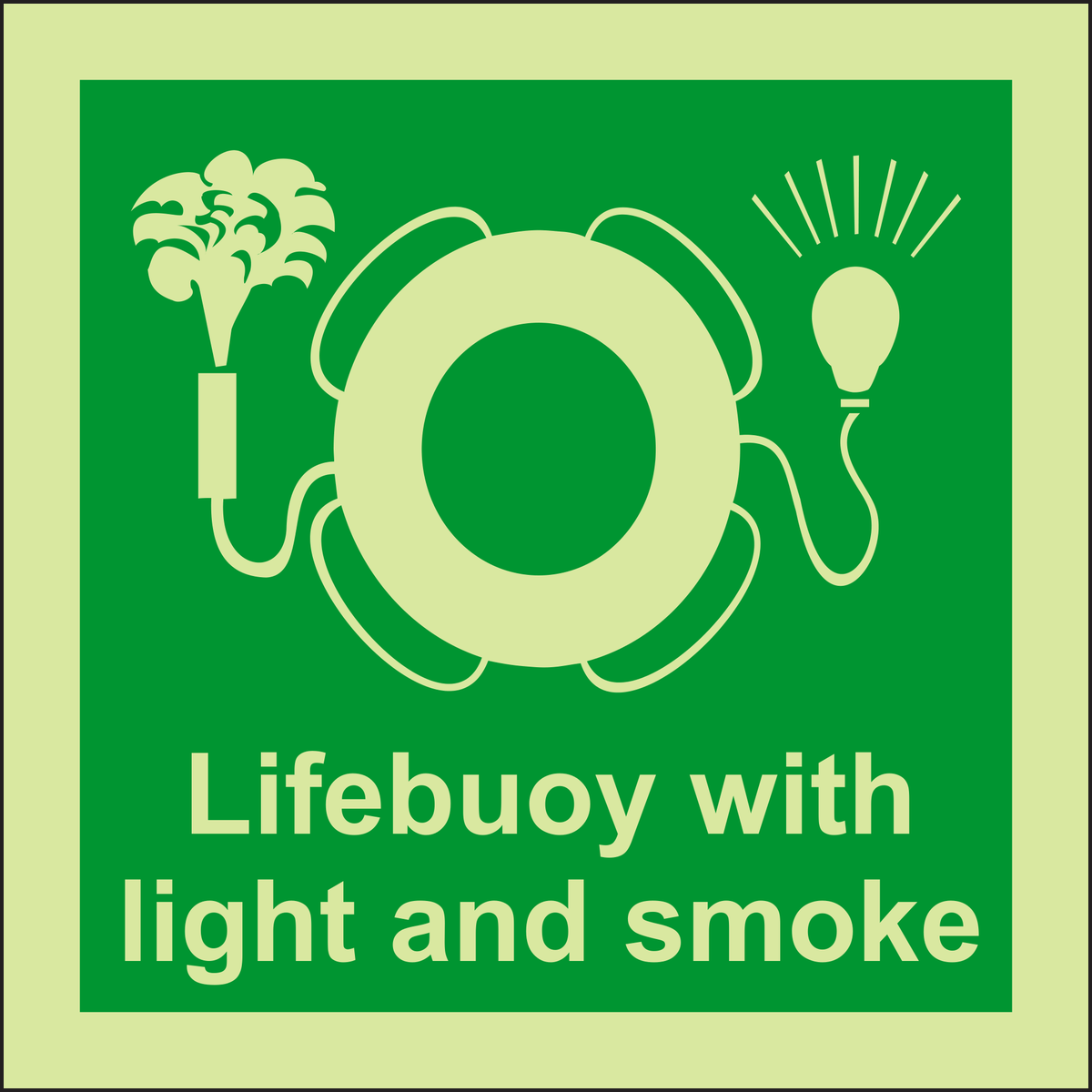 IMPA 33.4109 Lifebuoy With Light And Smoke Sign
