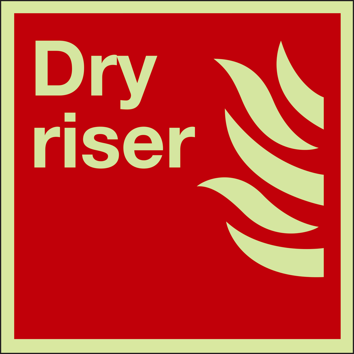 Photoluminescent Dry riser sign